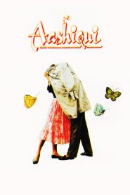 Aashiqui (1990) – Full Movie Download & Watch FREE – MovieHuntBD