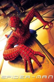 Spider-Man (2002) BluRay Hindi/English – Full Movie Download & Watch FREE – MovieHuntBD
