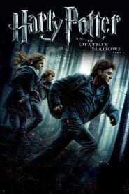 Harry Potter and the Deathly Hallows: Part 1 | Harry Potter 7 (2010) Hindi + English – Full Movie Download & Watch FREE – MovieHuntBD