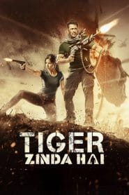 Tiger Zinda Hai (2017) HD – Full Movie Download & Watch FREE – MovieHuntBD