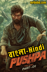 Pushpa: the Rise (2021) Bangla/Hindi Dubbed – Full Movie Download & Watch FREE – MovieHuntBD