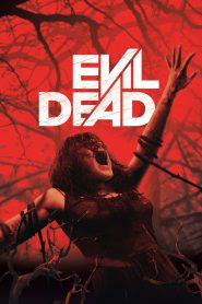 Evil Dead (2013) Dual Audio Hindi + English – Full Movie Download & Watch FREE – MovieHuntBD