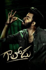 Gaalodu (2022) Hindi Dual – Full Movie Download & Watch FREE – MovieHuntBD