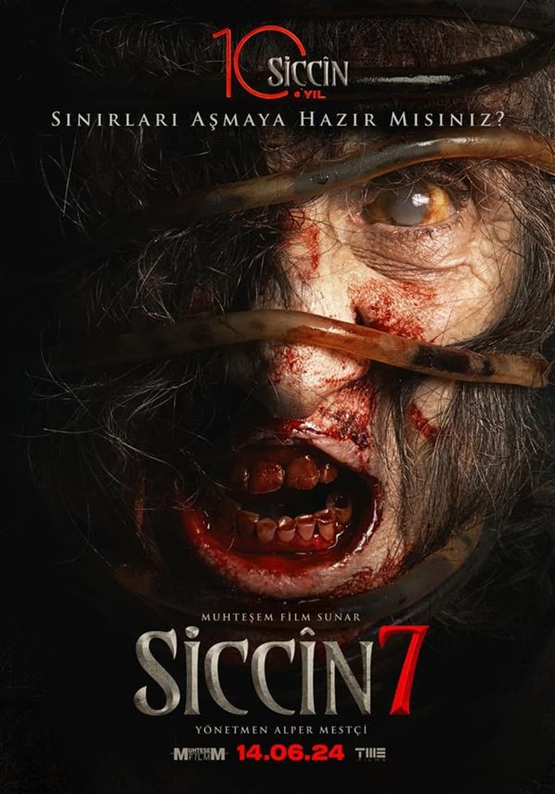 Sijjin 7 – Siccin Part – 7 (2024) Turkey – Full Movie Download & Watch FREE – MovieHuntBD