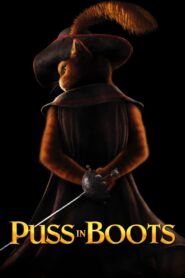 Puss in Boots (2011) Dual Audio (Hindi-Eng) – Full Movie Download & Watch FREE – MovieHuntBD