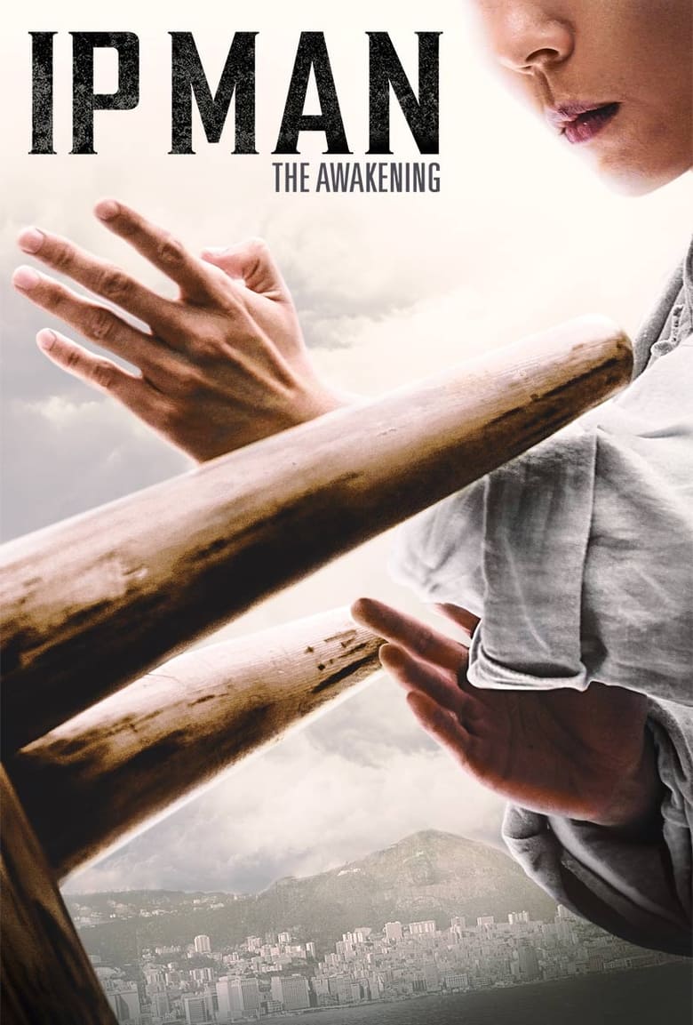 Ip Man: The Awakening (2021) Hindi/English – Full Movie Download & Watch FREE – MovieHuntBD