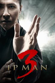 Ip Man 3 (2015) Hindi + Chinese – Full Movie Download & Watch FREE – MovieHuntBD