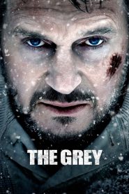 The Grey (2012) – Full Movie Download & Watch FREE – MovieHuntBD