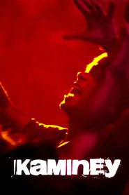 Kaminey – Full Movie Download & Watch FREE – MovieHuntBD
