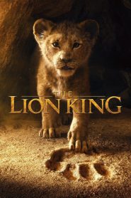 The Lion King (2019) Hindi + English – Full Movie Download & Watch FREE – MovieHuntBD