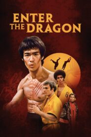 Enter the Dragon (1973) Hindi/English – Full Movie Download & Watch FREE – MovieHuntBD
