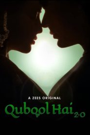Qubool Hai 2.0 (2021) – Full Series Download & Watch FREE – MovieHuntBD