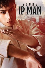 Young Ip Man: Crisis Time (2020) Hindi/Chinese – Full Movie Download & Watch FREE – MovieHuntBD