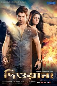 Deewana (2013) – Full Movie Download & Watch FREE – MovieHuntBD