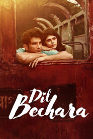 Dil Bechara – Full Movie Download & Watch FREE – MovieHuntBD