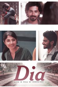 Dia (2020) [ORG Hindi + Kannada] – Full Movie Download & Watch FREE – MovieHuntBD