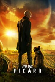 Star Trek: Picard (2020-2023) Season 01-03 – Hindi/English – Full Series Download & Watch FREE – MovieHuntBD