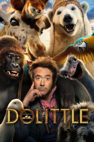Dolittle (2020) Hindi/English – Full Movie Download & Watch FREE – MovieHuntBD