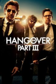 The Hangover Part III (2013) Hindi/English – Full Movie Download & Watch FREE – MovieHuntBD