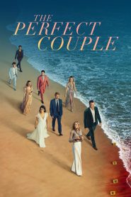 The Perfect Couple (2024) Season 01 – Hindi/English – Full Series Download & Watch FREE – MovieHuntBD