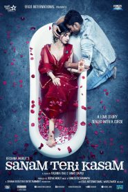 Sanam Teri Kasam (2016) – Full Movie Download & Watch FREE – MovieHuntBD