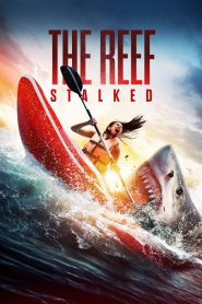 The Reef: Stalked (2022) – Full Movie Download & Watch FREE – MovieHuntBD