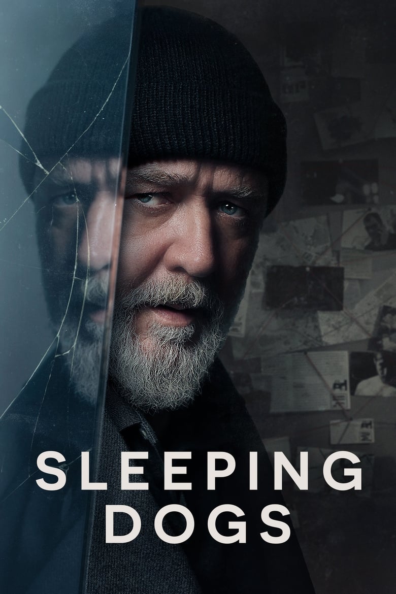 Sleeping Dogs (2024) Hindi + Eanglish – Full Movie Download & Watch FREE – MovieHuntBD