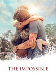 The Impossible (2012) Hindi/English – Full Movie Download & Watch FREE – MovieHuntBD