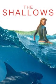 The Shallows (2016) Hindi + English – Full Movie Download & Watch FREE – MovieHuntBD