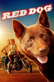 Red Dog (2011) English – Full Movie Download & Watch FREE – MovieHuntBD