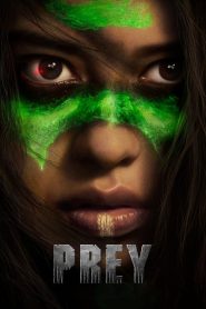 Prey (2022) Hindi + English – Full Movie Download & Watch FREE – MovieHuntBD