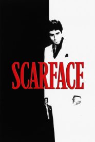 Scarface(1983) Hindi + English – Full Movie Download & Watch FREE – MovieHuntBD