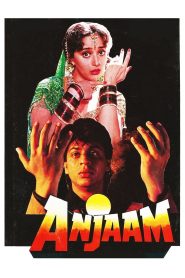 Anjaam (1994)