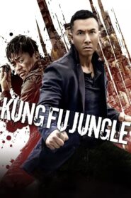 Kung Fu Jungle (2014) Hindi Dual – Full Movie Download & Watch FREE – MovieHuntBD