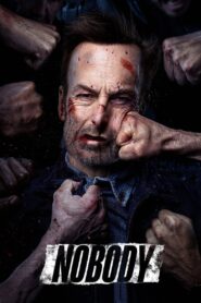 Nobody (2021) Hindi + English – Full Movie Download & Watch FREE – MovieHuntBD