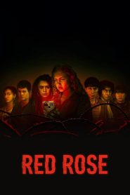 Red Rose (2022) Season 01 – Hindi/English – Full Series Download & Watch FREE – MovieHuntBD