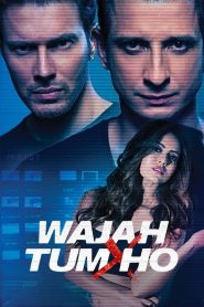 Wajah Tum Ho (2016) – Full Movie Download & Watch FREE – MovieHuntBD