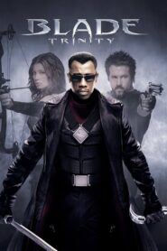 Blade: Trinity (2004) Blade 3 Hindi + English – Full Movie Download & Watch FREE – MovieHuntBD