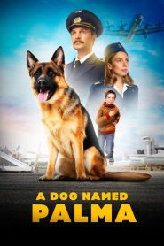 A Dog Named Palma (2021) Russian – Full Movie Download & Watch FREE – MovieHuntBD