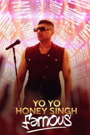 Yo Yo Honey Singh: Famous (2024) Documentary – Hindi – Full HD – Download & Watch FREE – MovieHuntBD