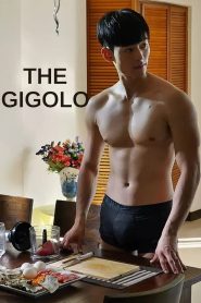 The Gigolo (2015) – 🔞 – Full Movie Download & Watch FREE – MovieHuntBD