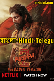 Pushpa 2 – The Rule (2024) – Reloaded Version – Bangla/Hindi – 4K – Netflix – Full Movie Download & Watch FREE – MovieHuntBD