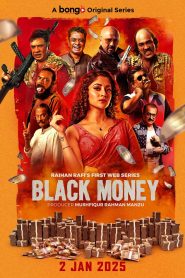 Black Money (2025) Season 01