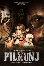 Pilkunj (2023) – Full Series Download & Watch FREE – MovieHuntBD