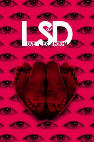 LSD: Love, Sex aur Dhokha (2010) – 🔞 – Full Movie Download & Watch FREE – MovieHuntBD