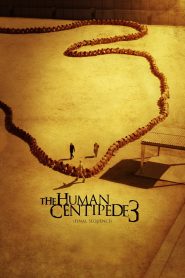 The Human Centipede 3 (Final Sequence) (2015) English – Full Movie Download & Watch FREE – MovieHuntBD