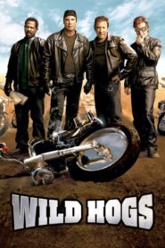 Wild Hogs (2007) – Hindi/English – Full Movie Download & Watch FREE – MovieHuntBD