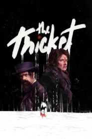 The Thicket (2024) Dual Audio Hindi ORG – Full Movie Download & Watch FREE – MovieHuntBD