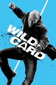 Wild Card (2015) – Hindi/English – Full Movie Download & Watch FREE – MovieHuntBD