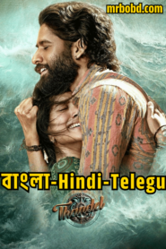Thandel (2025) Bangla/Hindi/Telegu – Full HD – Full Movie Download & Watch FREE – MovieHuntBD